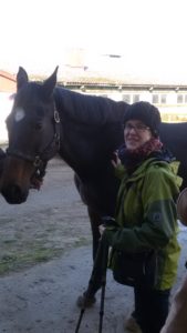 Hippotherapie - Reiterin und Ritterin