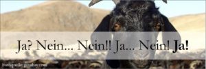 Read more about the article 10 Januar – Ja? Nein… Nein!! Ja… Nein! Ja!