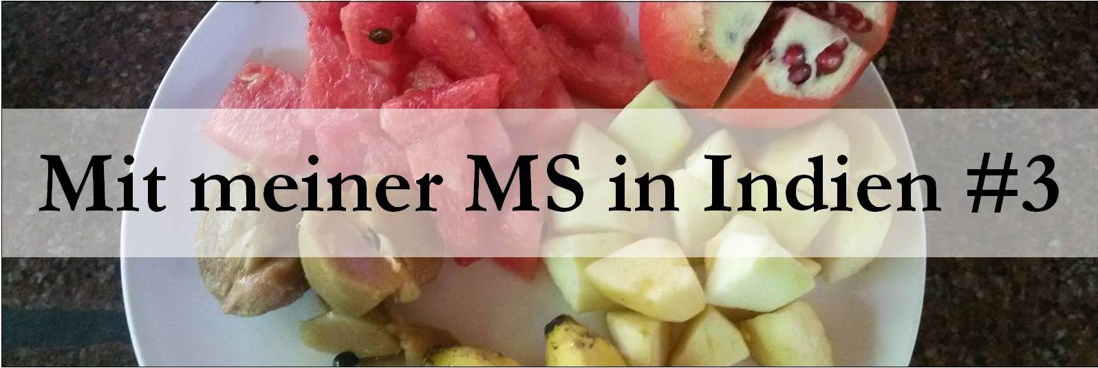 You are currently viewing Mit meiner MS in Indien #3 24/7 Ayurveda