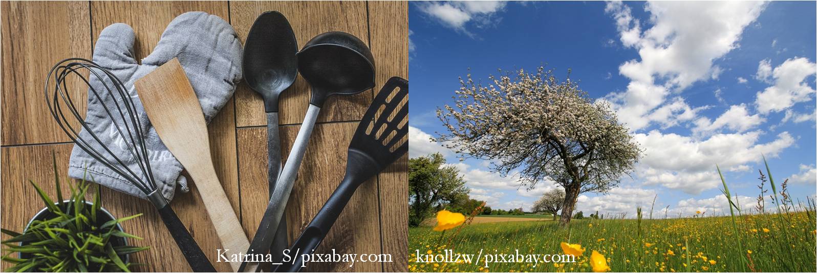 You are currently viewing Ayurveda im Frühling – Befreie dich von Ballast